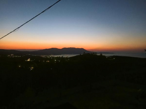 Amazing View